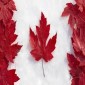 Canadian Healthcare System Overview